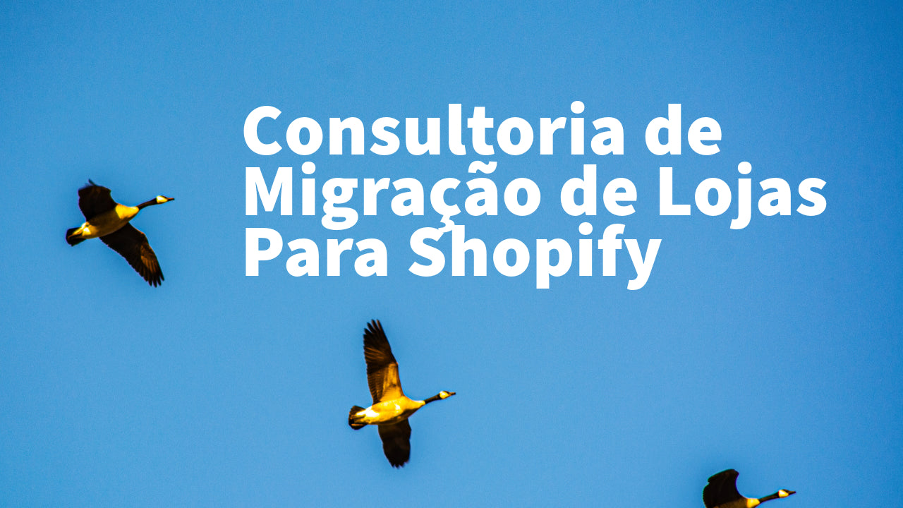 Shopify Store Migration Consulting